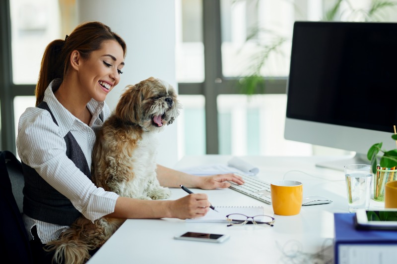 Dogs in the workplace